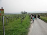  Wanderroute durch die Riede Windberg 