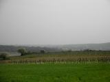  Fernblick nach Groweikersdorf 
