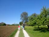  Wanderweg bei Reitering 