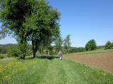  Wanderweg bei Theinstetten 
