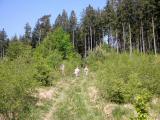  Wanderstrecke bergan 