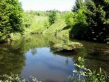  schner kleiner Teich 