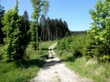  schner Wanderweg 