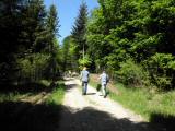  schner Wanderweg 
