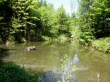  ein kleiner Teich 