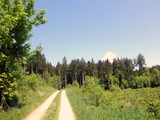  schner Wanderweg 