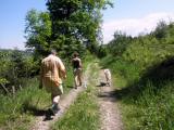  schner Hhenweg auf der Donauleiten 