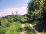  schner Hhenweg auf der Donauleiten 