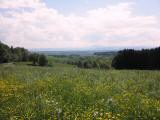  herrlicher Fernblick zum tscher 
