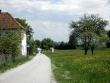  Wanderer in Scharlreith 