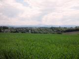  herrlicher Fernblick zum tscher 