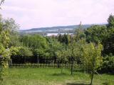  Fernblick zur Kirche von Ybbs 