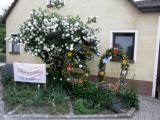  zum 60ziger 