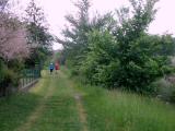 Wanderroute entlang des Michelbachs 