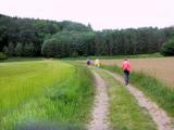  Wanderweg zum Hummelberg 
