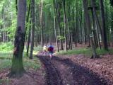  Wanderweg ber den Hummelberg 