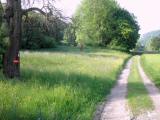  Wanderweg beim Perschlinghof 