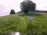  Blick zur 2. SK am Hegerberg 