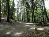  ein schner Rastplatz 