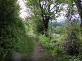  schner Wanderweg 