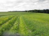  schner Wanderweg 