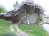  der "Sieben Tabernakelpfeiler" beim Kloster Hochstra 