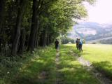  schner Wanderweg 