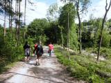  Wanderweg entlang des Stssingbachs 