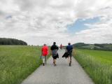 auf der Anhhe des Dambergs 