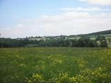  Fernblick zum Gehft Gallotswies 