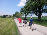  Marathonis auf der Strae zum Gehft Gallotswies 