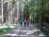  schner Waldwanderweg zum Warthof 