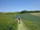  Wanderweg durch die Rieden bei Sichelbach 