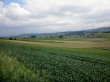  schner Fernblick Richtung Ollersbach 