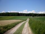  Wanderweg zum Kronberg 