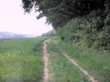  Wanderweg auf dem Kronberg 