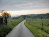  der Sonne entgegen 