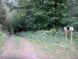  schner Waldweg 