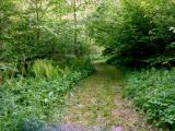  Wanderroute ber ausgemhte Wege 
