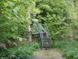  Blick zum "Rotmpelsteg" 