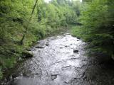  Blick vom Steg auf die Groe Krems flussaufwrts 