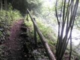  Wanderweg entlang der "Groen Krems" 