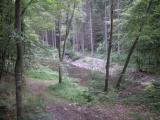  Blick zur "Groen Krems" mit dem neuen "Ziegelofensteg"  