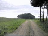  leicht bergan 