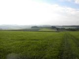  schner Fernblick zurck 