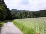  Wanderweg wieder zur "Groen Krems" 