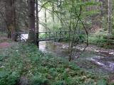  Blick zum "Lugentalsteg" 