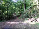  schner Waldweg 