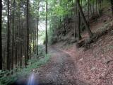  schner Hhenwaldweg 
