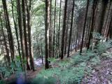  der Blick in die Tiefe zur "Groen Krems" 